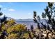 Scenic mountain views framed by lush greenery and trees provide a sense of serenity in this idyllic location at 4788 Silver Pine Dr, Castle Rock, CO 80108