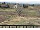 Picturesque backyard with open field and beautiful mountain backdrop at 6340 Ashburn Ln, Highlands Ranch, CO 80130