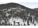 Houses nestled within a forest; snow covered in winter at 5525 S Twin Spruce Dr, Evergreen, CO 80439