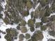 Top-down of the forested areas surrounding a home covered with snow in winter at 5525 S Twin Spruce Dr, Evergreen, CO 80439