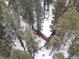 Cozy red cabin with a snow-covered roof surrounded by lush green trees in a winter wonderland at 5525 S Twin Spruce Dr, Evergreen, CO 80439