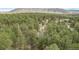 Expansive aerial view of a charming home nestled amidst a dense, lush green forest with mountain views at 1150 Fremont Dr, Larkspur, CO 80118