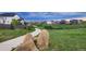 Scenic view of a green space in the Sky Ranch community, with a path, boulders and landscaping at 27857 E 8Th Ave, Aurora, CO 80018