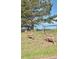 Two deer grazing in a grassy field, offering a glimpse of nature and wildlife in the area at 22026 Hill Gail Way, Parker, CO 80138