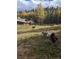 Scenic backyard featuring a deer and chickens, with rustic house and vibrant fall foliage for serene rural living at 2720 S Spring Gulch Rd, Idaho Springs, CO 80452