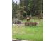 Picturesque backyard with an elk near a feeding trough and lush green grass in a tranquil forested setting at 2720 S Spring Gulch Rd, Idaho Springs, CO 80452