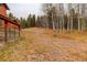A large yard with mature aspen trees with a peek at the house at 2720 S Spring Gulch Rd, Idaho Springs, CO 80452
