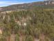 Gorgeous mountain home surrounded by lush green trees and rolling hillsides at 26349 Pleasant Park Rd, Conifer, CO 80433