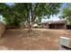 Large backyard showcasing mature trees and partial fencing, offering a blend of shade and open space at 5167 Sable St, Denver, CO 80239