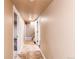 Hallway leading to basement rooms at 8540 Corona St, Denver, CO 80229