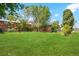 This backyard is large and grassy, perfect for relaxation and entertaining, with mature trees for added privacy at 1060 Saulsbury St, Lakewood, CO 80214