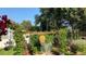 Lush backyard garden with blooming flowers, healthy plants, and a charming trellis feature at 1008 Yeager Dr, Longmont, CO 80501