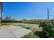 Large backyard with grass, mature shrubbery, new concrete patio, and wooden fence at 11674 Claude Ct, Northglenn, CO 80233
