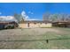 Expansive backyard featuring green grass, a privacy fence, and the brick home exterior at 11674 Claude Ct, Northglenn, CO 80233