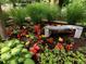 Landscaped garden featuring a contemporary bench and beautiful flowers at 318 Adams St, Denver, CO 80206