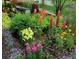 View of colorful landscaping featuring various flowers, plants, bushes and a bench in this beautiful garden at 318 Adams St, Denver, CO 80206