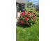 The house has a lush lawn, along with a flowering bush at the foot of the porch at 4826 S Ireland St, Aurora, CO 80015