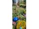 Yard is meticulously landscaped with colourful plants, shrubbery, and decorative ornamentation at 4826 S Ireland St, Aurora, CO 80015