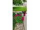 Close-up on a section of the garden, with red and white flowers at 4826 S Ireland St, Aurora, CO 80015