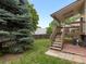 Inviting backyard with a spacious deck and stairs descending to a well-maintained lawn, shaded by a mature evergreen tree at 2040 Yarrow St, Lakewood, CO 80214