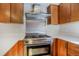 Close up of a modern oven and range with stainless steel vent hood and custom cabinets at 1632 N Gilpin St, Denver, CO 80218