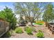 Private backyard is beautifully landscaped with mature trees and flowering bushes at 3298 W 11Th Avenue Pl, Broomfield, CO 80020