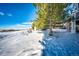 Snowy backyard with a large pine tree and footprints in the snow at 3383 Mount Royal Dr # 46, Castle Rock, CO 80104
