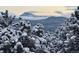Snow covered pine trees and fog shrouded hills in the Colorado wilderness at 29822 Troutdale Scenic Dr, Evergreen, CO 80439