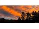Brilliant orange sunset over a forest silhouette, showcasing Colorado's beautiful skies at 29822 Troutdale Scenic Dr, Evergreen, CO 80439