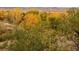 Natural landscape featuring a variety of trees and plants in their autumn colors at 9531 Desert Willow Way, Highlands Ranch, CO 80129