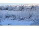 Snowy landscape with mountains and homes, creating a scenic winter wonderland at 9531 Desert Willow Way, Highlands Ranch, CO 80129