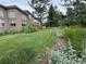 Expansive back yard featuring a lush lawn, mature trees, and well-maintained landscaping at 6584 S Sedalia St, Aurora, CO 80016
