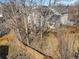 An aerial view showcases this property's backyard with lawn, fencing and mature landscaping at 13277 Elizabeth St, Thornton, CO 80241