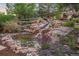Picturesque backyard waterfall surrounded by lush greenery and rock features at 1102 Buffalo Ridge Rd, Castle Pines, CO 80108