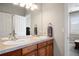 Well-lit bathroom features dual sinks with wood cabinets and a large mirror, creating a functional and inviting space at 1102 Buffalo Ridge Rd, Castle Pines, CO 80108