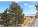Scenic backyard view with large trees, green grass and water view at 4760 S Wadsworth Blvd # G304, Littleton, CO 80123