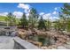 A beautiful water feature with rocks and trees in a well-maintained backyard at 4213 Hickory Oaks St, Castle Rock, CO 80104