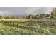 Scenic view of greenbelt with lush grass and diverse vegetation at 4162 S Richfield S Way, Aurora, CO 80013