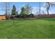 Large grassy backyard featuring beautiful landscaping and mature trees for privacy at 11600 W 31St Pl, Lakewood, CO 80215