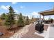 Spacious backyard featuring a covered patio, beautiful landscaping, and serene surroundings at 1694 Castle Vista Way, Castle Rock, CO 80104
