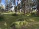 Lush backyard with mature trees and green grass extending to the forest at 34480 County Road 17, Elizabeth, CO 80107