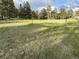 Expansive vacant lot with green grass, offering endless possibilities for development at 34480 County Road 17, Elizabeth, CO 80107