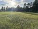 Picturesque vacant lot with lush grass and a backdrop of mature trees at 34480 County Road 17, Elizabeth, CO 80107