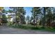 A serene view of expansive open land dotted with majestic trees, offering a sense of peaceful seclusion at 34480 County Road 17, Elizabeth, CO 80107