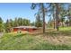 Scenic shot of the backyard of the home with mature pine trees at 4776 Red Rock Dr, Larkspur, CO 80118
