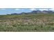Sweeping views of native grassy meadow and mountain range in the distance at 2855 Rock Creek Cir # 129, Superior, CO 80027