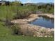 Picturesque pond surrounded by lush vegetation and trees in a serene community setting at 2855 Rock Creek Cir # 129, Superior, CO 80027