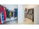 Spacious walk-in closet features ample shelving and clothing racks for storage at 887 Sundance Ln, Erie, CO 80516