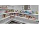 Walk-in pantry featuring ample shelving space for food storage at 887 Sundance Ln, Erie, CO 80516