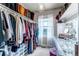 A large walk-in closet with rod and shelf systems, vanity and a bright window at 5789 Echo Park Cir, Castle Rock, CO 80104